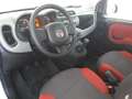 Fiat Panda 0.9 TwinAir Turbo Natural Power Easy*METANO NUOVO* Bianco - thumbnail 6