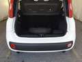 Fiat Panda 0.9 TwinAir Turbo Natural Power Easy*METANO NUOVO* Bianco - thumbnail 10