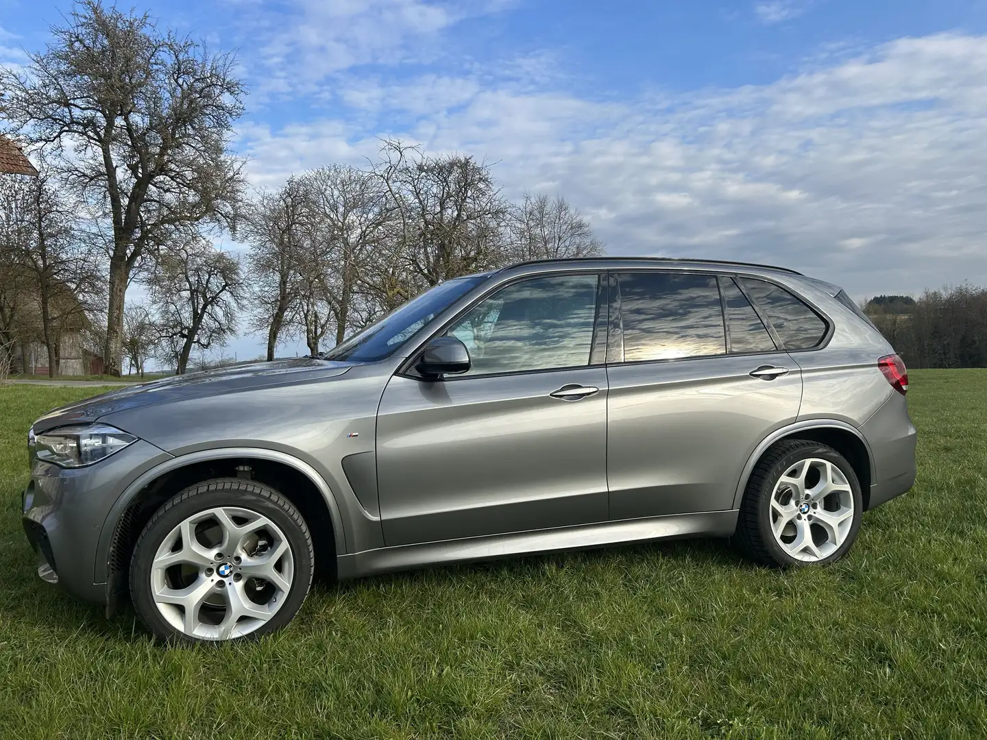 BMW X5 X5 xDrive40d Aut. Grau - 2