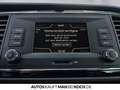 SEAT Leon ST 1.4 TSI DSG Style AHK ALLWETTER PDC TEMPOM Grau - thumbnail 25