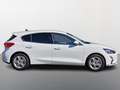 Ford Focus 1.0 EcoBoost Trend Edition Business | Climate Cont Blanc - thumbnail 6