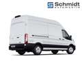 Ford Transit Kasten Trend EK 350L3 2,0L Eblue 165PS M RWD 15.01.26 / TRAU>ST1 / Standteiner / MW 
14.11.25 / ST1>TRAU / Hepke / MW 
 Weiß - thumbnail 6