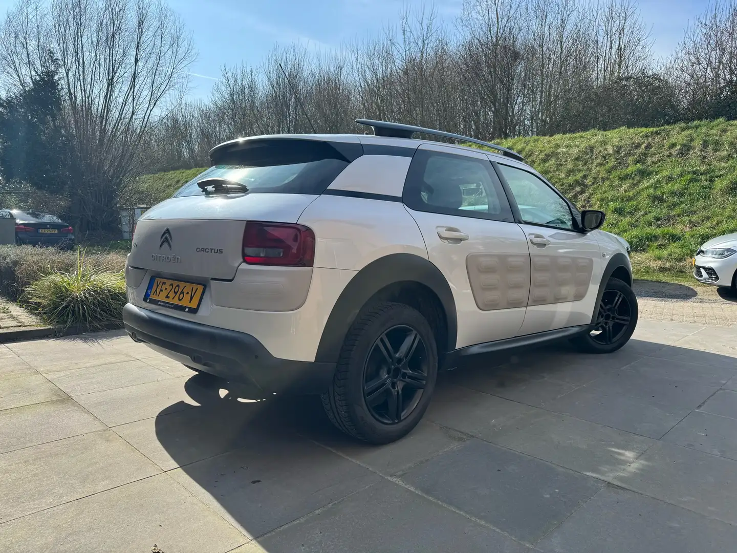Citroen C4 Cactus 1.2 PureT. Business Wit - 2