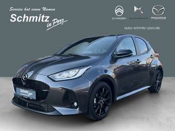 Homura LED ACC Apple CarPlay Android Auto Mehrzone