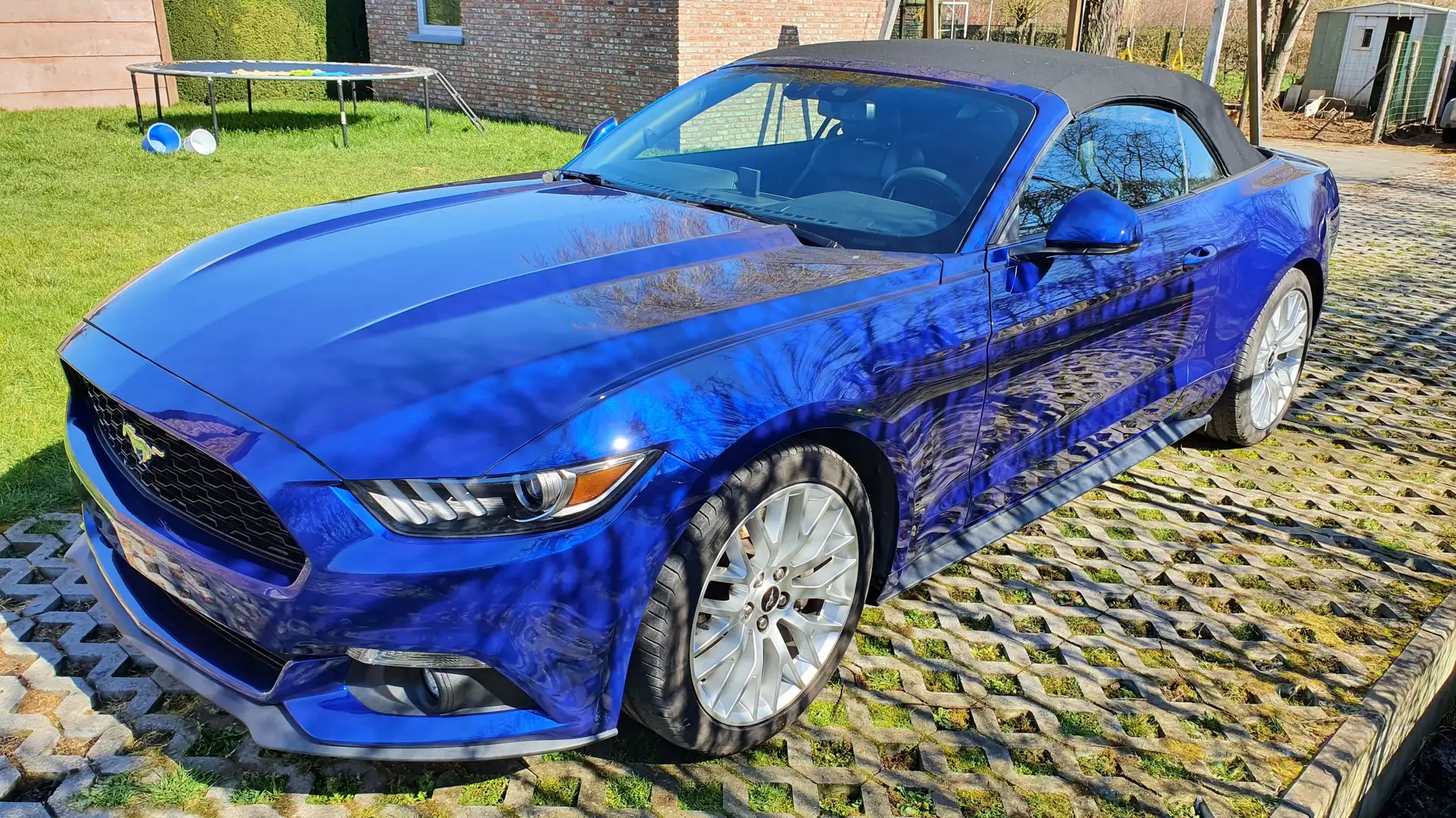 Ford Mustang Mustang Cabrio 2.3 Eco Boost Bleu - 2