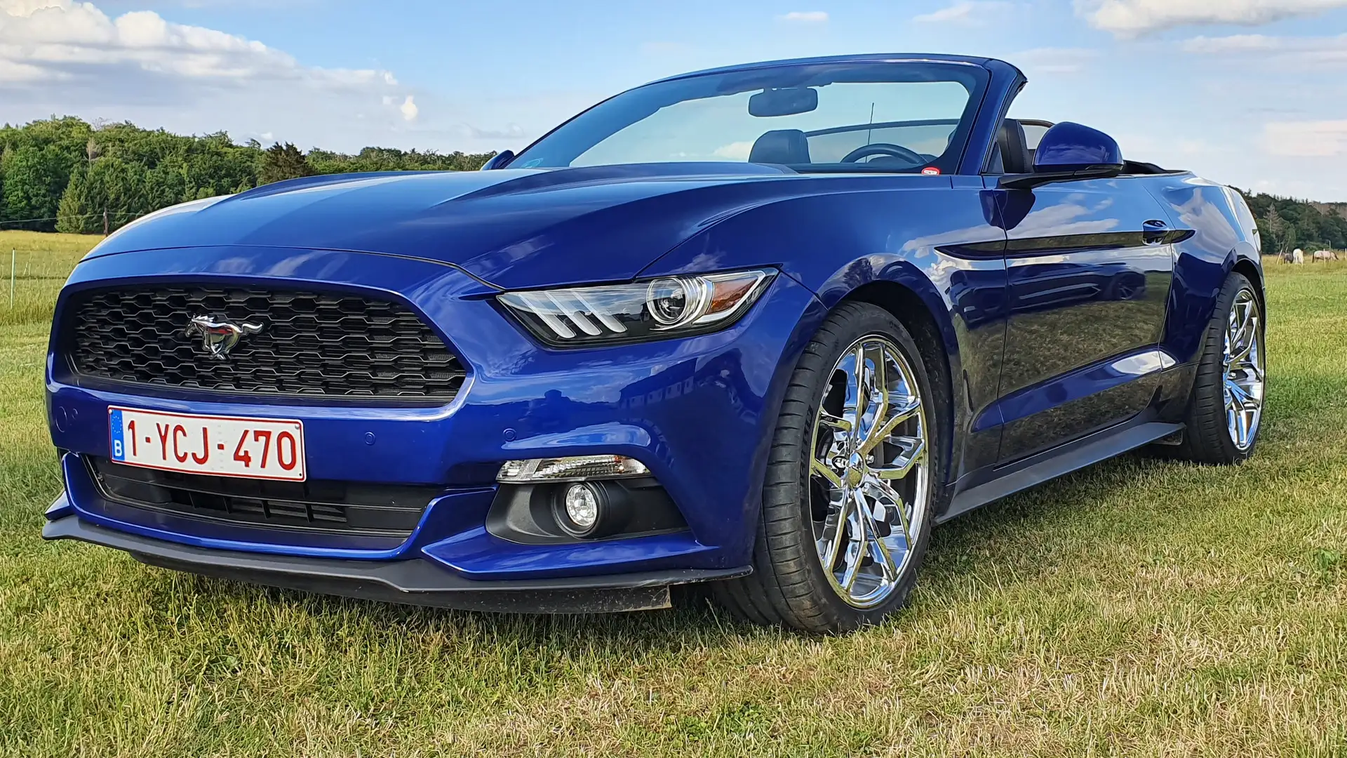 Ford Mustang Mustang Cabrio 2.3 Eco Boost Bleu - 1