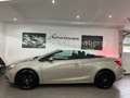 Opel Cascada 1.4 Turbo Edition*PDC v.&h.*SHZ*EURO5* Gold - thumbnail 16