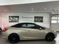 Opel Cascada 1.4 Turbo Edition*PDC v.&h.*SHZ*EURO5* Gold - thumbnail 15