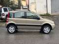 Fiat Panda Panda 1.2 Climbing 4x4 69cv E5 Oro - thumbnail 4
