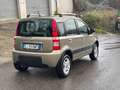 Fiat Panda Panda 1.2 Climbing 4x4 69cv E5 Oro - thumbnail 5