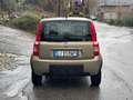 Fiat Panda Panda 1.2 Climbing 4x4 69cv E5 Oro - thumbnail 6