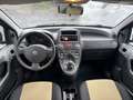 Fiat Panda Panda 1.2 Climbing 4x4 69cv E5 Oro - thumbnail 13