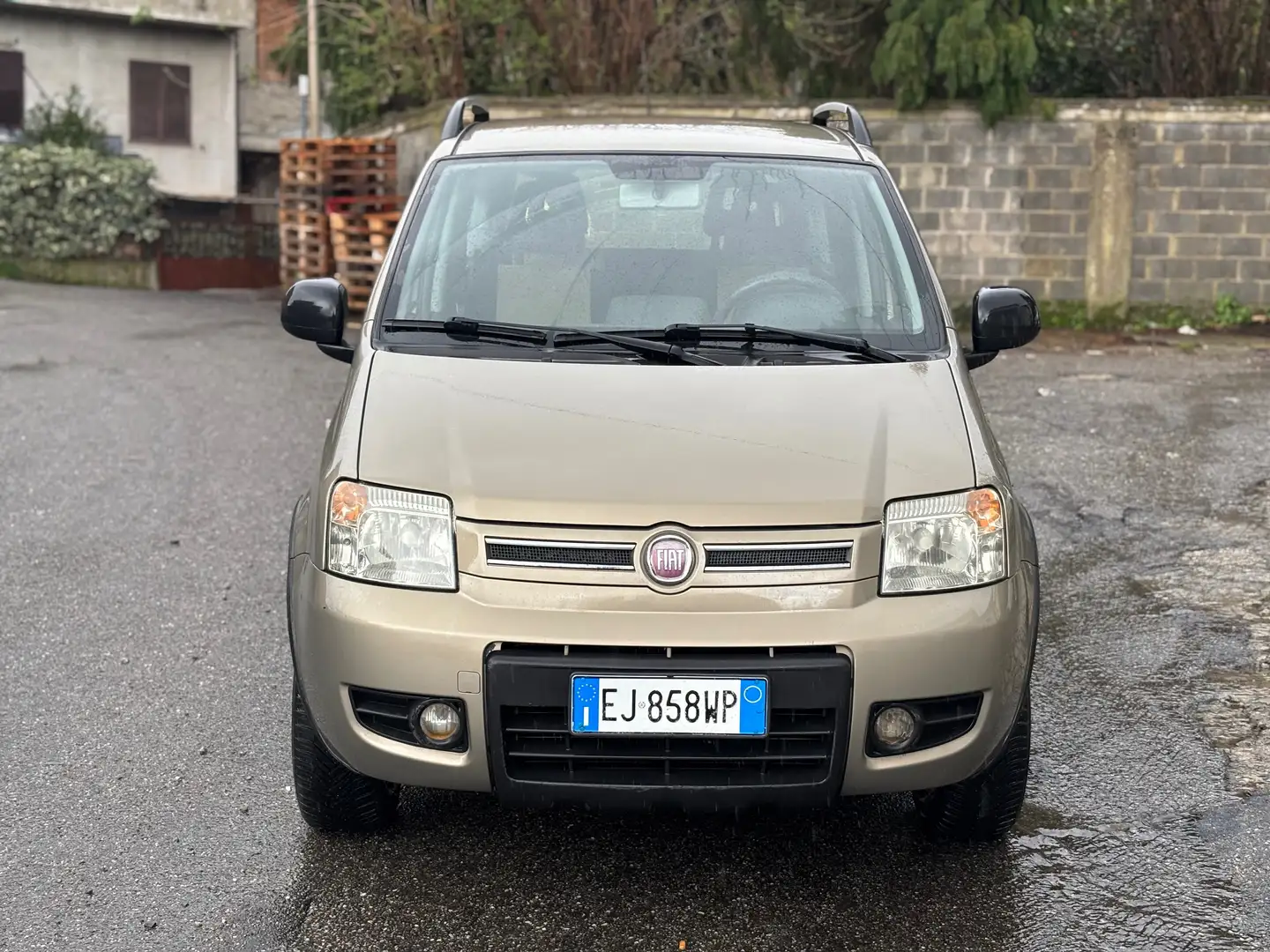 Fiat Panda Panda 1.2 Climbing 4x4 69cv E5 Oro - 2