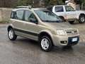 Fiat Panda Panda 1.2 Climbing 4x4 69cv E5 Oro - thumbnail 3