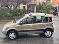 Fiat Panda Panda 1.2 Climbing 4x4 69cv E5 Oro - thumbnail 8