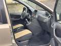 Fiat Panda Panda 1.2 Climbing 4x4 69cv E5 Oro - thumbnail 12