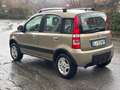 Fiat Panda Panda 1.2 Climbing 4x4 69cv E5 Oro - thumbnail 7