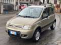 Fiat Panda Panda 1.2 Climbing 4x4 69cv E5 Oro - thumbnail 1