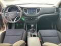 Hyundai TUCSON 2.0 CRDI Intro Edition 4WD AHK Weiß - thumbnail 21