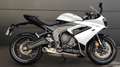 Triumph Blanco - thumbnail 2