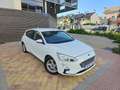 Ford Focus 1.5Ecoblue Trend+ 120 Bianco - thumbnail 6