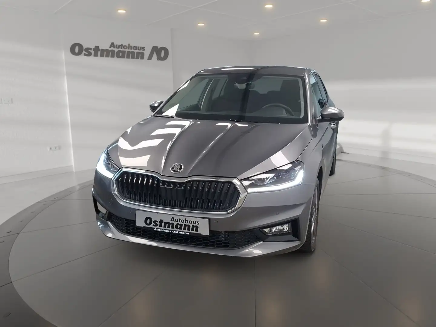 Skoda Fabia 1.0 TSI RFK LED Navi KeyLess PDC Grau - 1