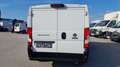 Fiat Ducato 2,3 L1H1 Camper *Netto €15.400,-* Weiß - thumbnail 6