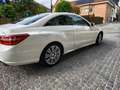 Mercedes-Benz E 350 COUPE E 350 CDI  Avantgarde /full / l'exportation Blanc - thumbnail 8
