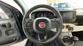Fiat Panda 1.0 HYBRID 70CV PANDINA CROSS - VARI COLORI Nero - thumbnail 8