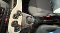 Fiat Panda 1.0 HYBRID 70CV PANDINA CROSS - VARI COLORI Nero - thumbnail 11