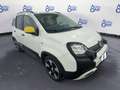 Fiat Panda 1.0 HYBRID 70CV PANDINA CROSS - VARI COLORI Nero - thumbnail 4