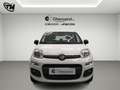 Fiat Panda 0.9 t.air t. natural power Easy 70cv Wit - thumbnail 2