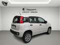 Fiat Panda 0.9 t.air t. natural power Easy 70cv Wit - thumbnail 6