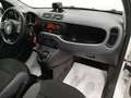 Fiat Panda 0.9 t.air t. natural power Easy 70cv Wit - thumbnail 11