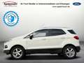 Ford EcoSport Titanium NAVI KLIMAAUTO SITZHEIZUNG Blanc - thumbnail 2