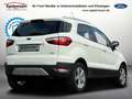 Ford EcoSport Titanium NAVI KLIMAAUTO SITZHEIZUNG Blanc - thumbnail 3