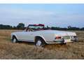Mercedes-Benz SL 280 Bianco - thumbnail 4
