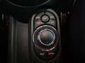 MINI Cooper Cabrio Cooper Cabrio Schwarz - thumbnail 15