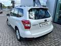 Subaru Forester 2.0D Trend Wit - thumbnail 8