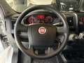 Fiat Ducato 33 LH2 2.3 Multijet 120CV E6D-temp Blanco - thumbnail 12