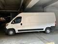 Fiat Ducato 33 LH2 2.3 Multijet 120CV E6D-temp Blanco - thumbnail 2