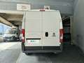 Fiat Ducato 33 LH2 2.3 Multijet 120CV E6D-temp Blanco - thumbnail 4