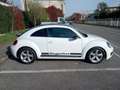 Volkswagen Maggiolino 1.4 tsi Sport 160cv Bianco - thumbnail 2