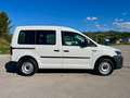 Volkswagen Caddy Caddy 2.0TDI Origin 75KW Origin Blanco - thumbnail 5