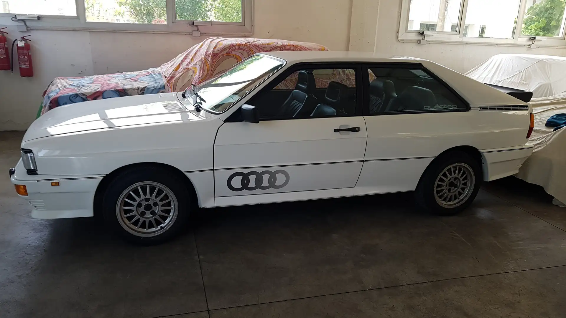 Audi QUATTRO Weiß - 1
