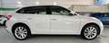 Skoda Scala 1.0 tsi Style 110cv dsg - PROMO FINANZIAMENTO Bianco - thumbnail 4