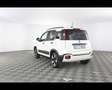 Fiat Panda Cross 1.0 FireFly Hybrid Weiß - thumbnail 10