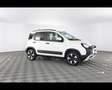 Fiat Panda Cross 1.0 FireFly Hybrid Weiß - thumbnail 5