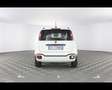 Fiat Panda Cross 1.0 FireFly Hybrid Weiß - thumbnail 9