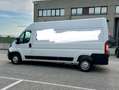 Fiat Ducato MAX Bianco - thumbnail 5